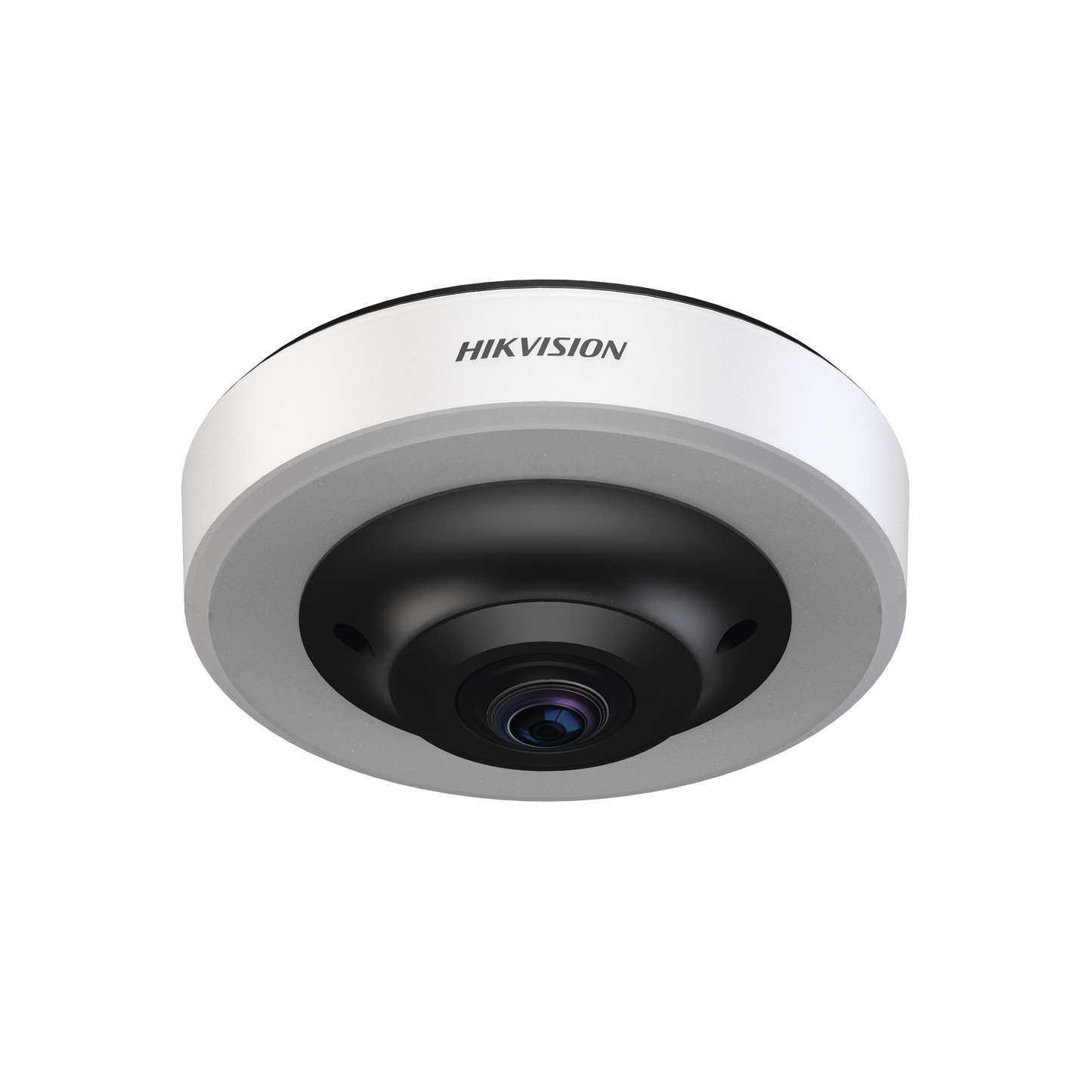 Fisheye IP 12 Megapixel (4K) / Para Detección de Espacios de Estacionamiento / 16 Espacios Ocupados o Libres / Interior  / PoE / Color Azul y Rojo /  IA Integrado