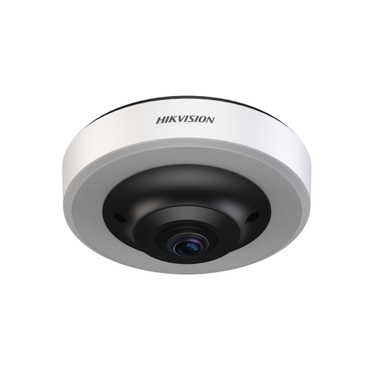 Fisheye IP 12 Megapixel (4K) / Para Detección de Espacios de Estacionamiento / 16 Espacios Ocupados o Libres / Interior  / PoE / Color Azul y Rojo /  IA Integrado